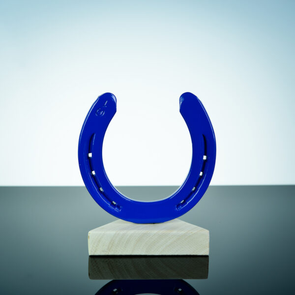 Geluks-hoefijzer blauw - Afbeelding 3