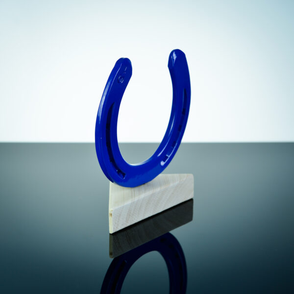 Geluks-hoefijzer blauw - Afbeelding 2